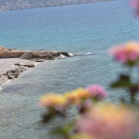 Beachfront House Σπίτι διακοπών Σαλαμίνα