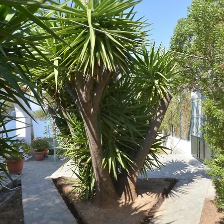 Beachfront House Σπίτι διακοπών
